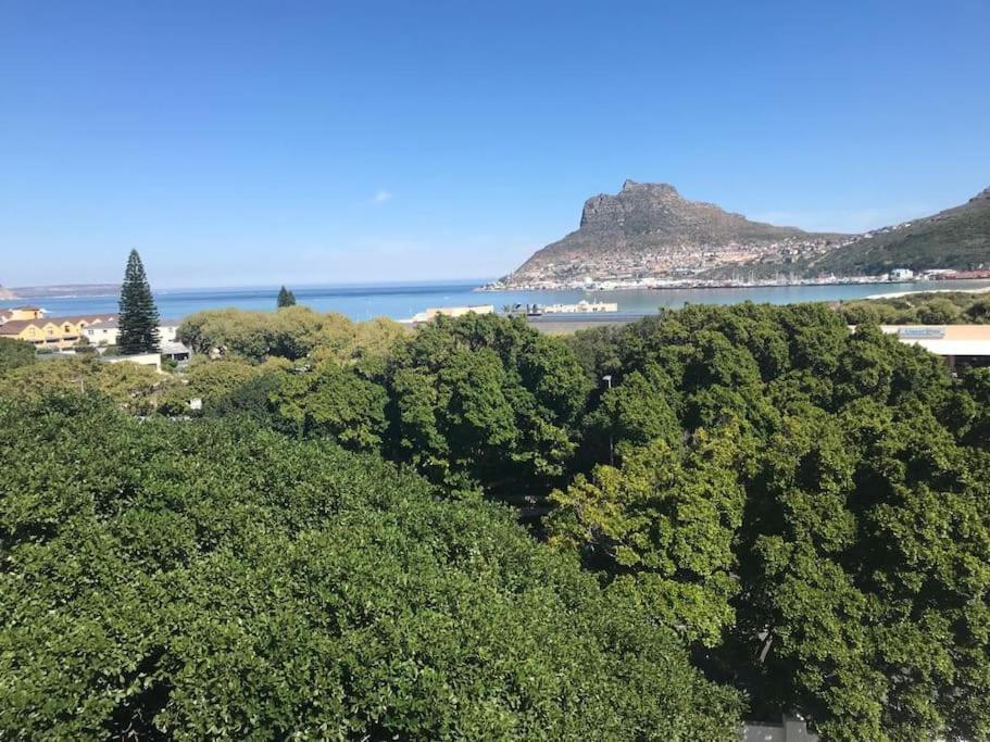 Chapman'S Peak, Loft Mit Sea-Und Mountainview Apartment Hout Bay Exterior photo